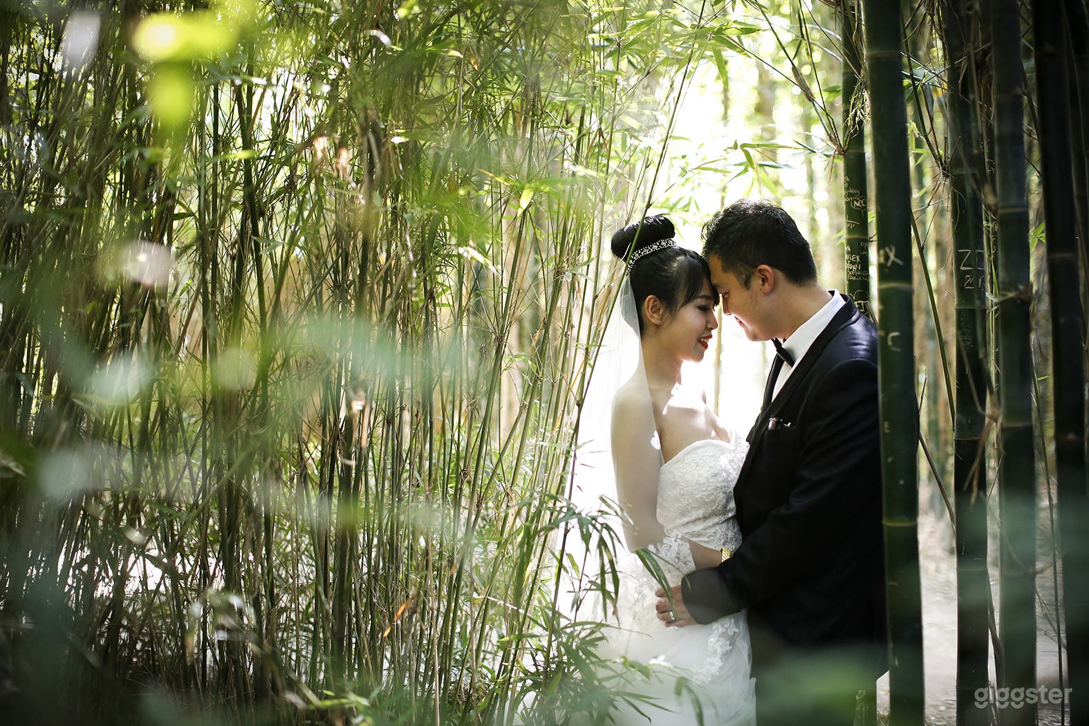 Melbourne Zoo Events Photo 1