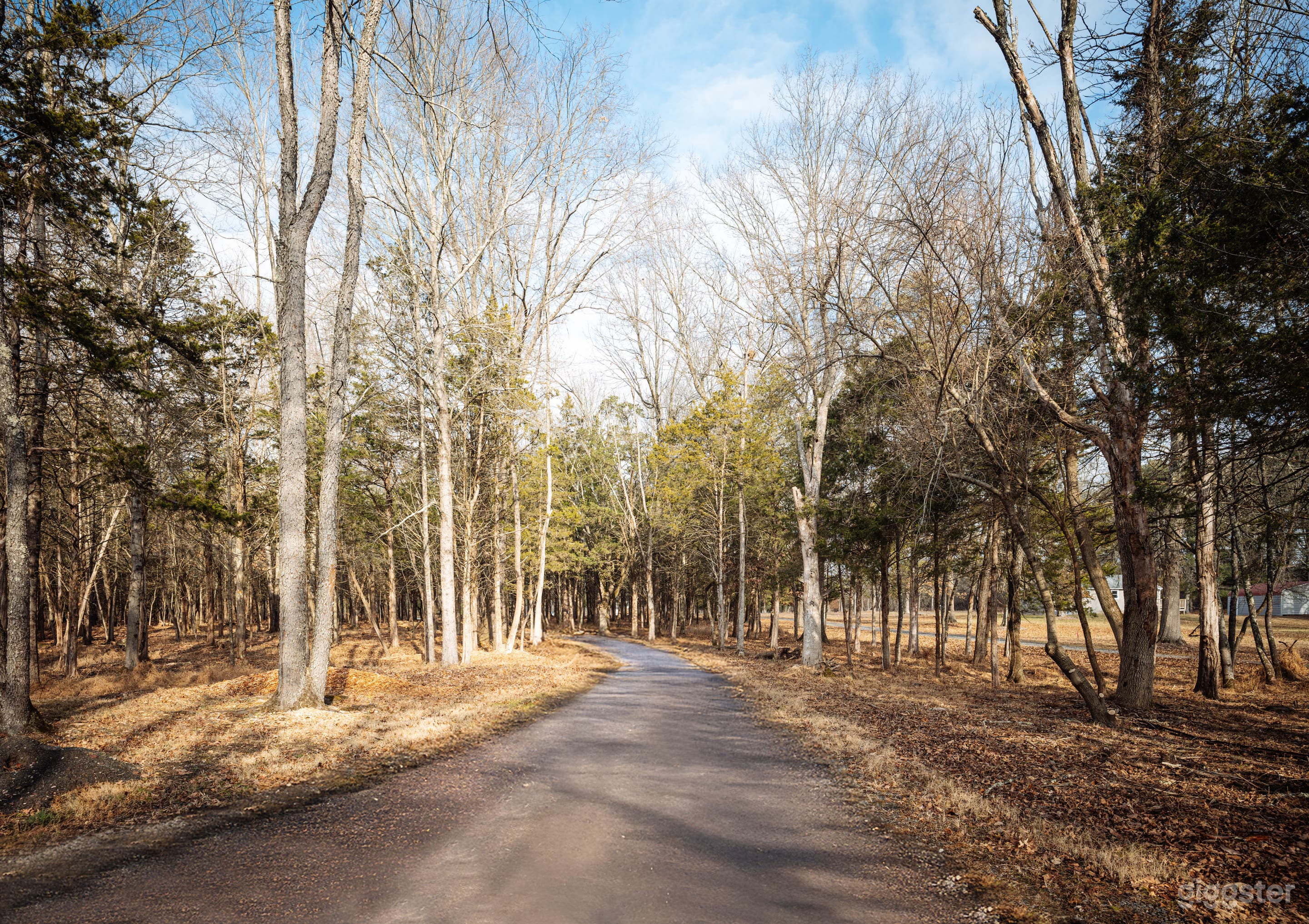 Light-Filled Countryside Home for Shoots & Intimate Events Photo 4