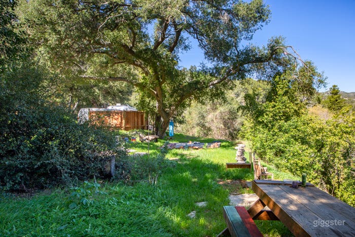 Enchanted Forest &amp; Bungalows Photo 4