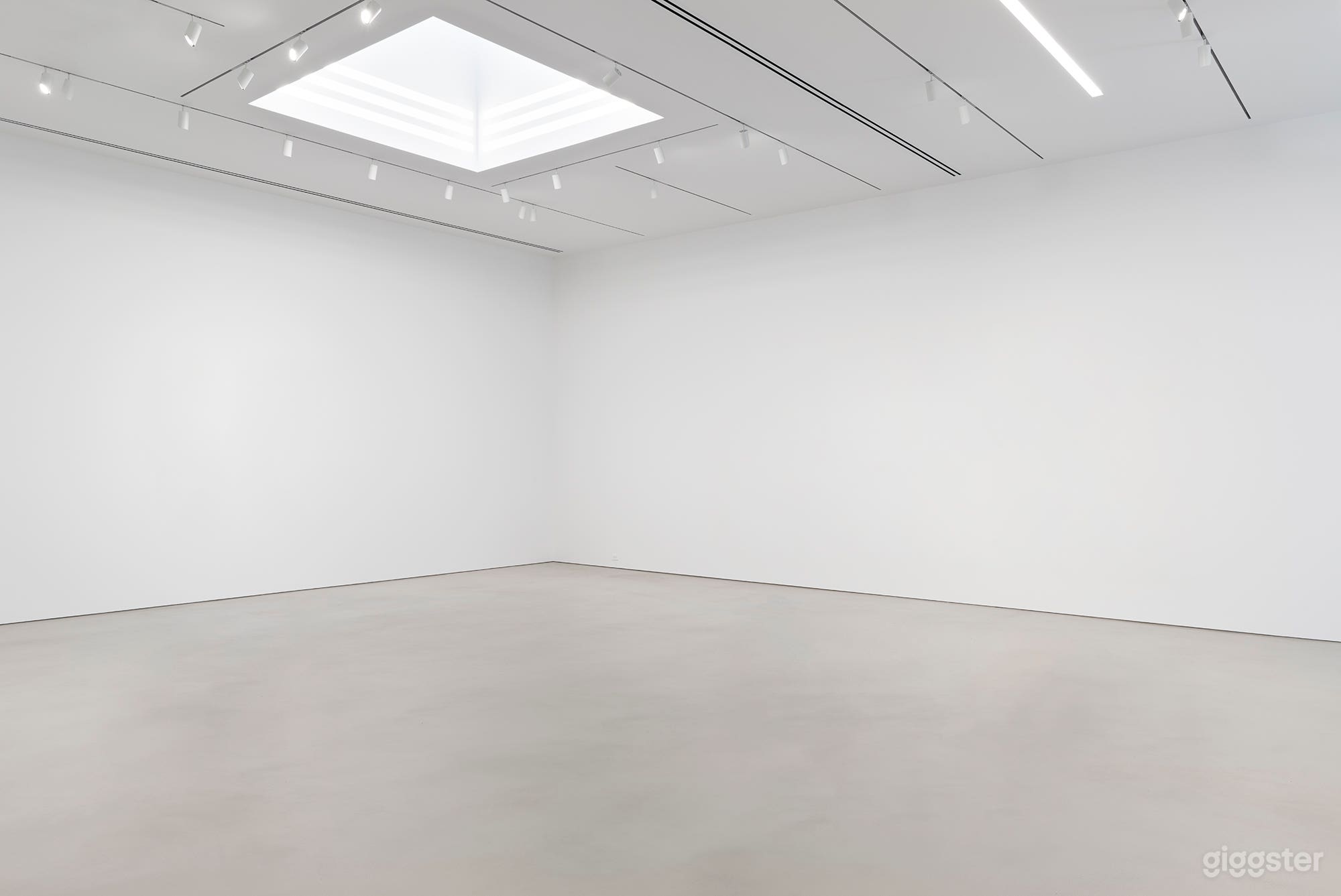 Chelsea White Cube Gallery Photo 2