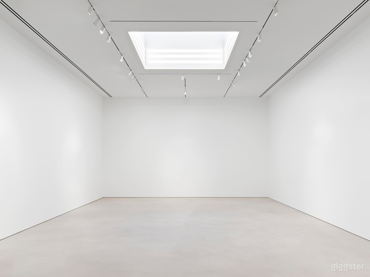 Chelsea White Cube Gallery Photo 4