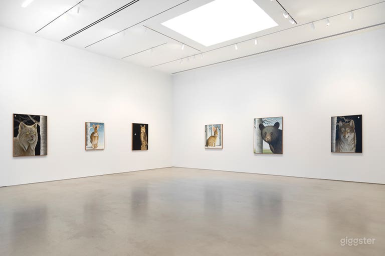  Chelsea White Cube Gallery 