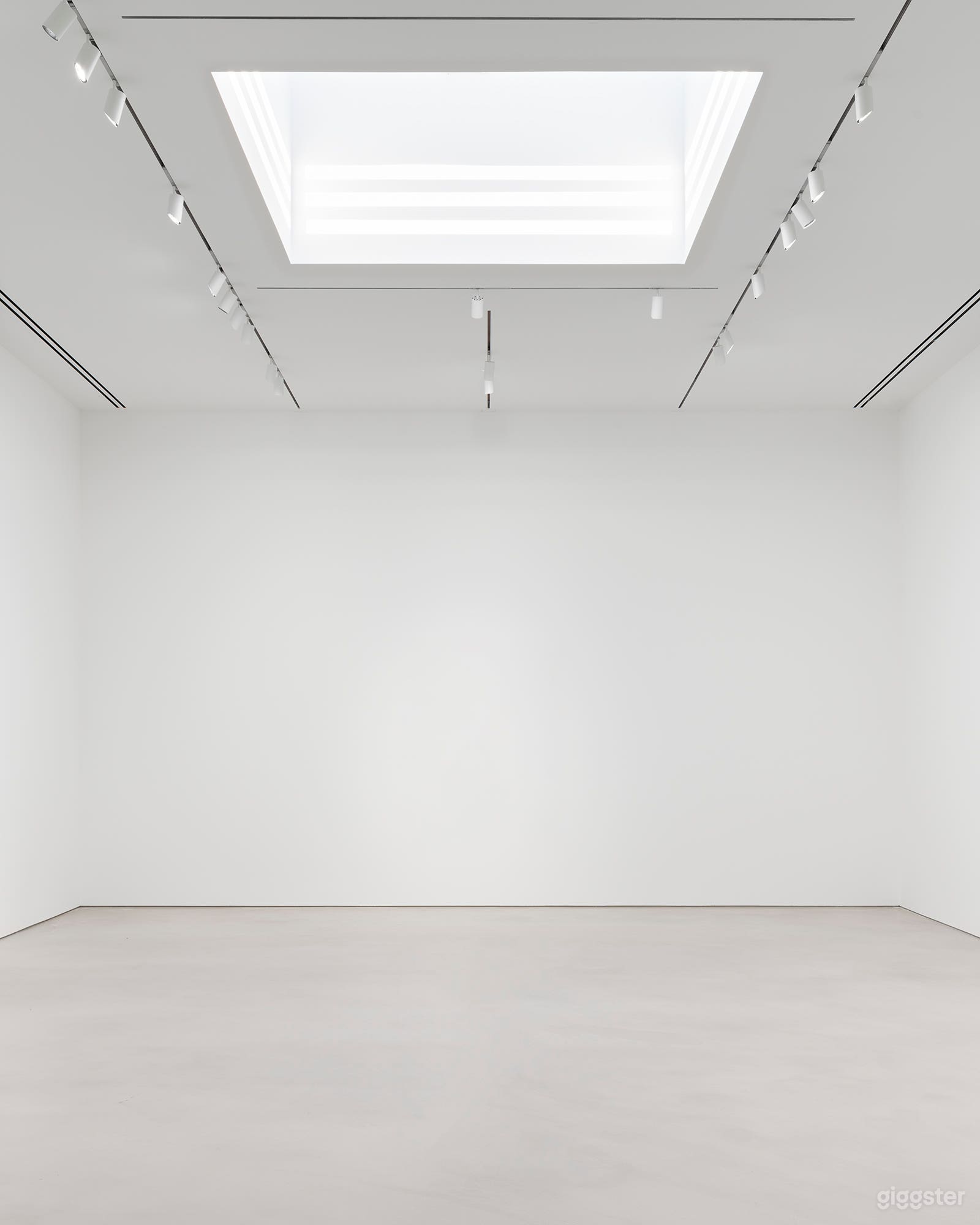 Chelsea White Cube Gallery Photo 3