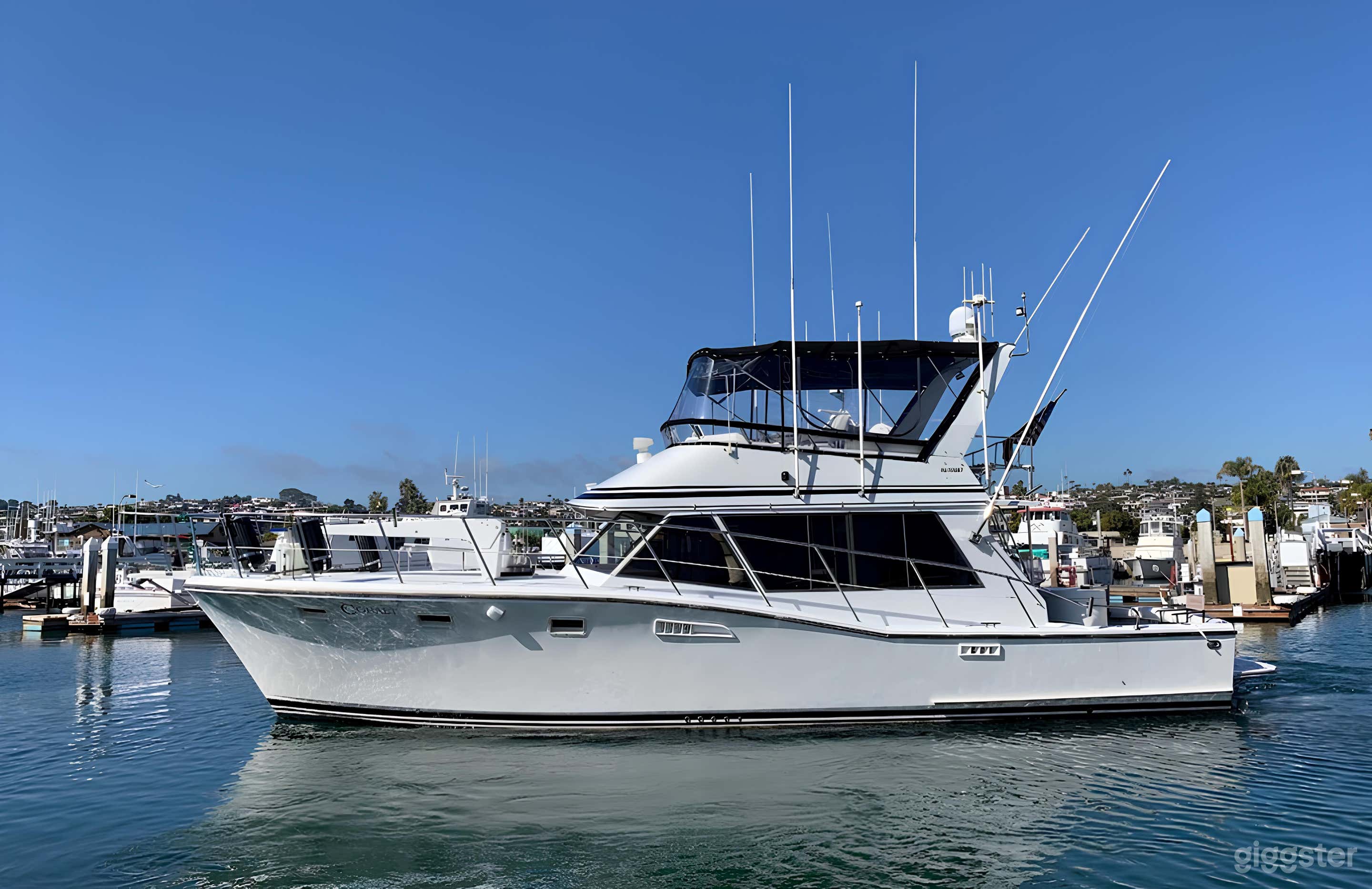 Cobalt 50' Symbol FISHING CHARTER Photo 2