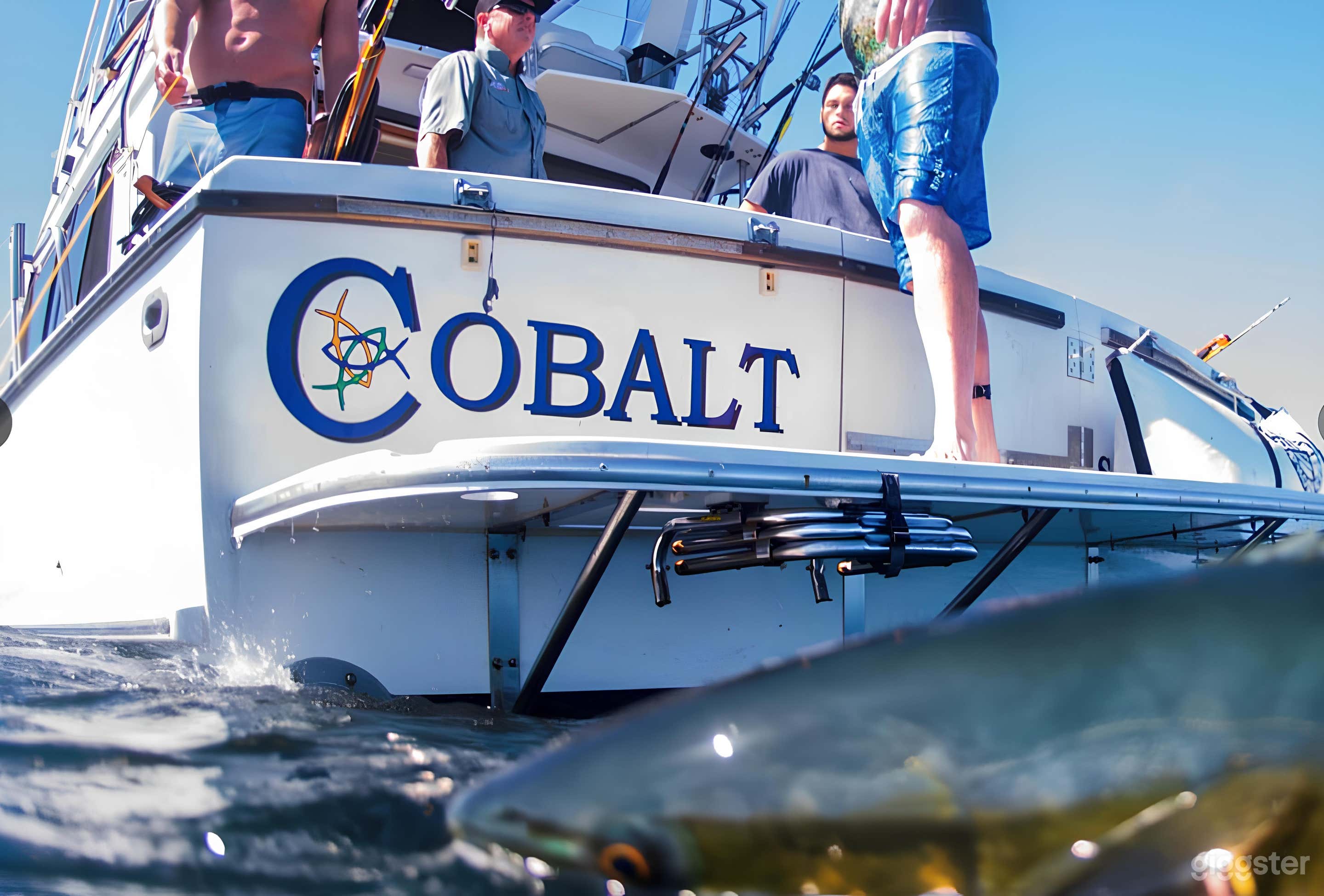 Cobalt 50' Symbol FISHING CHARTER Photo 4