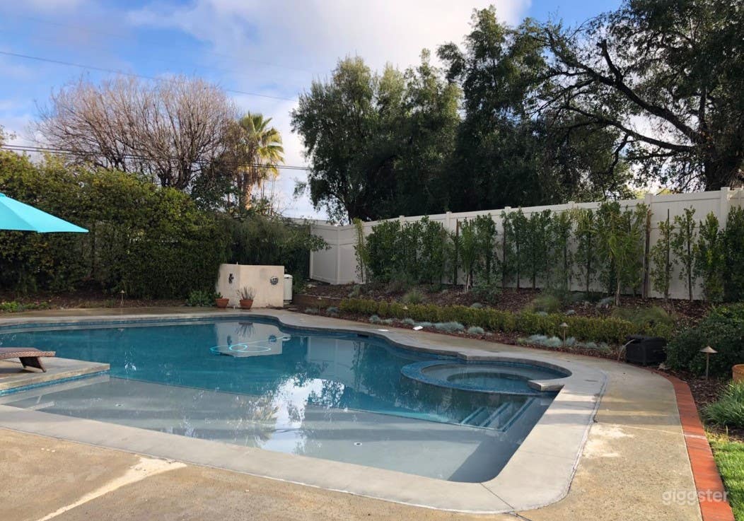 Beautiful Large Pool with Jacuzzi Photo 1