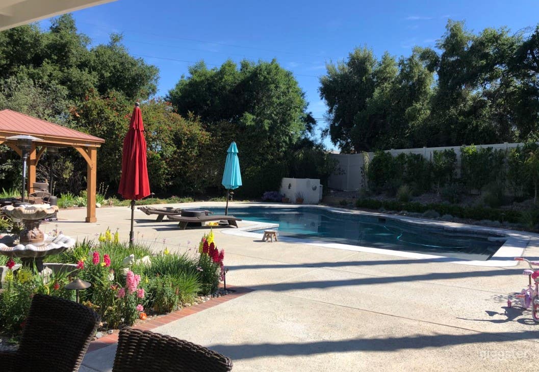 Beautiful Large Pool with Jacuzzi Photo 4