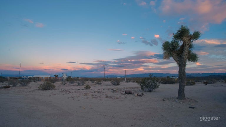  Camp Sunshine: Desert Land and Open Sky in Joshua Tree 