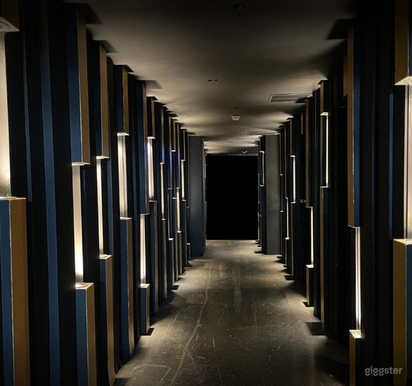 Amazing Theater Style Club Lounge Photo 2