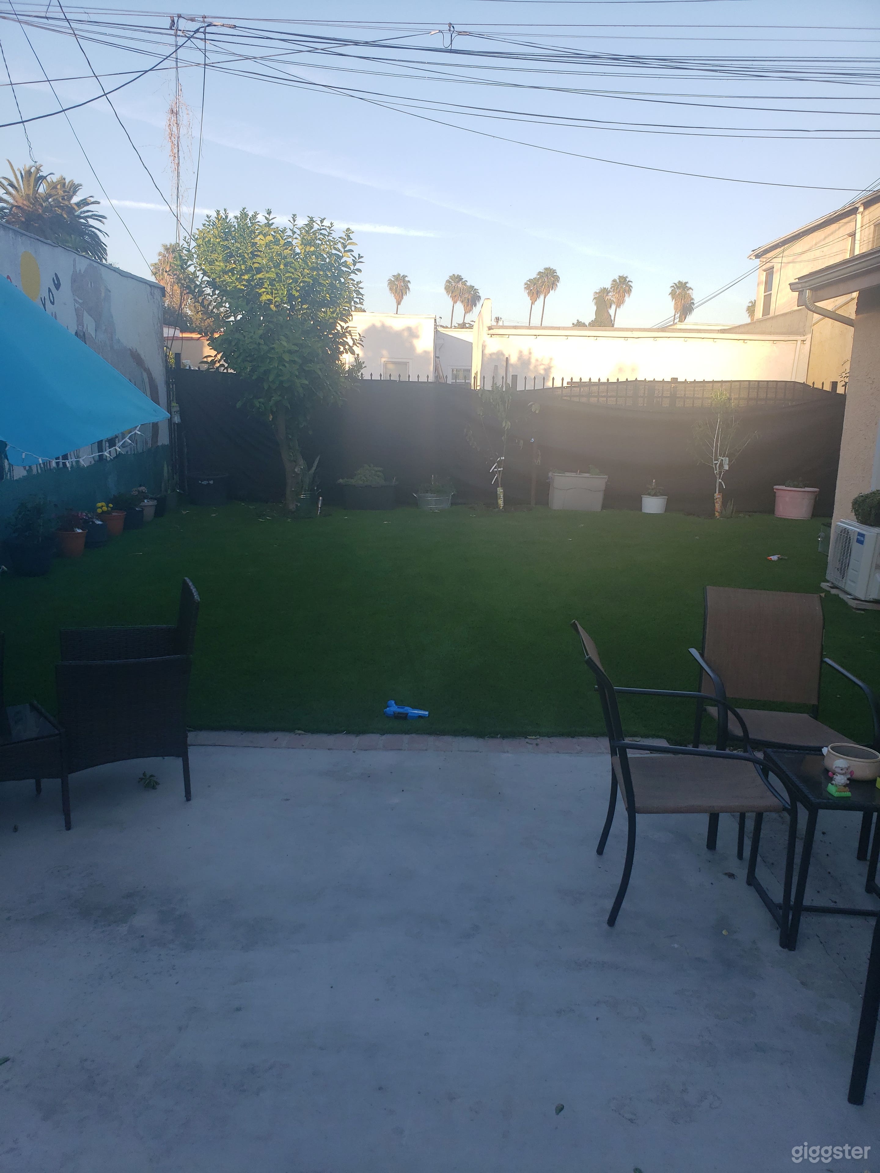 Hillcrest Rhino Photo 4