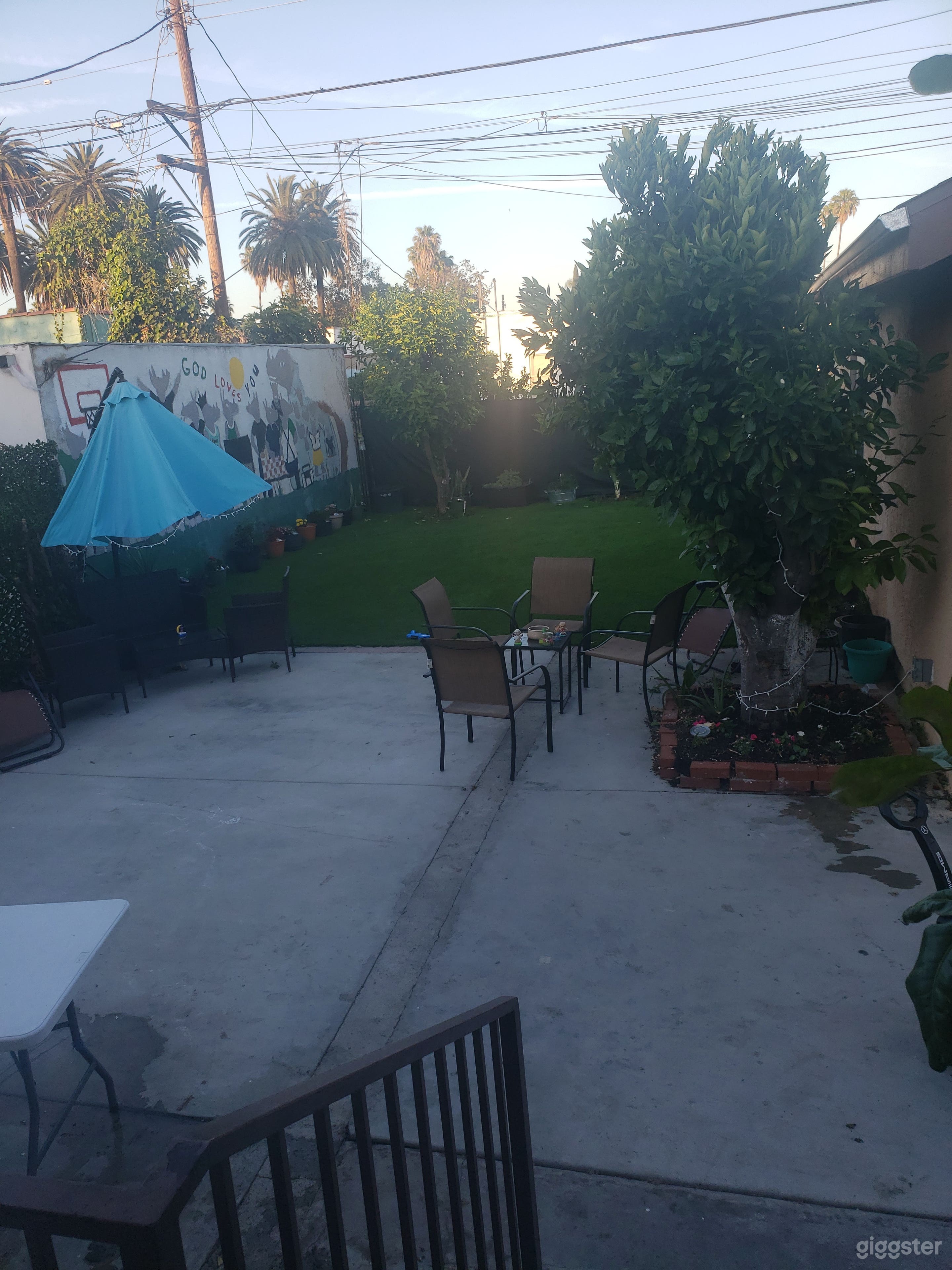 Hillcrest Rhino Photo 1