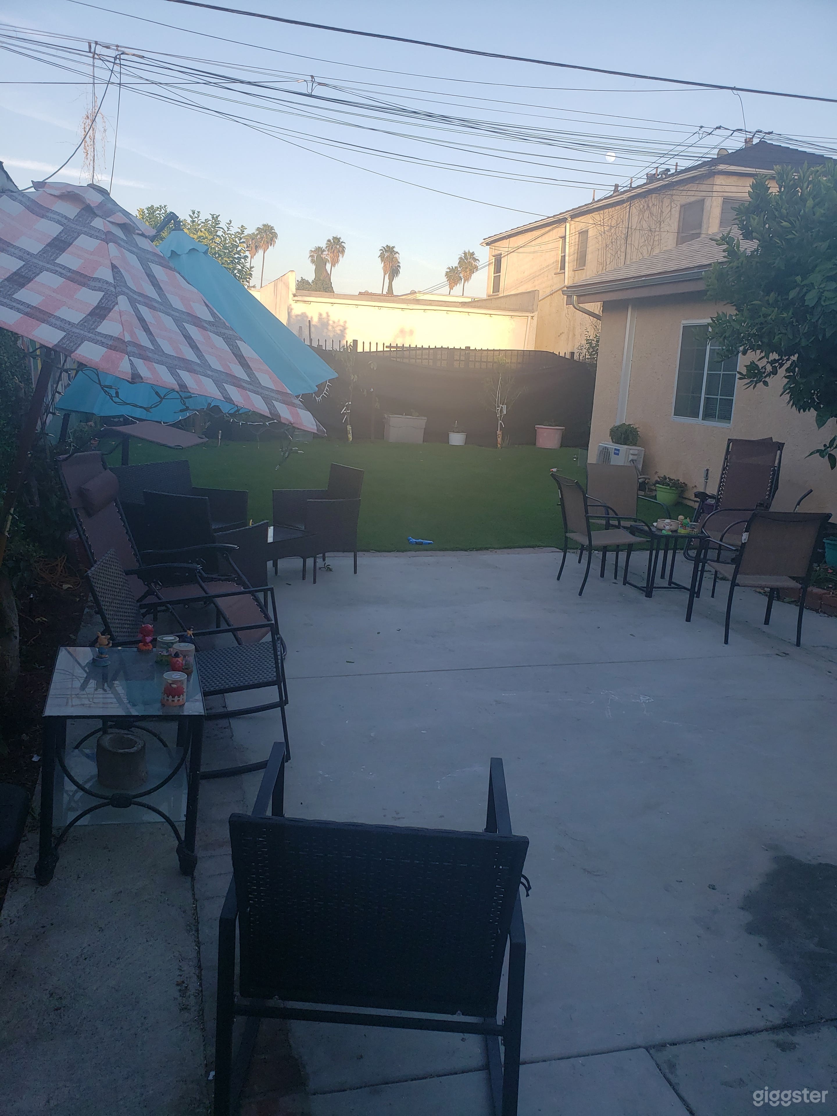 Hillcrest Rhino Photo 2