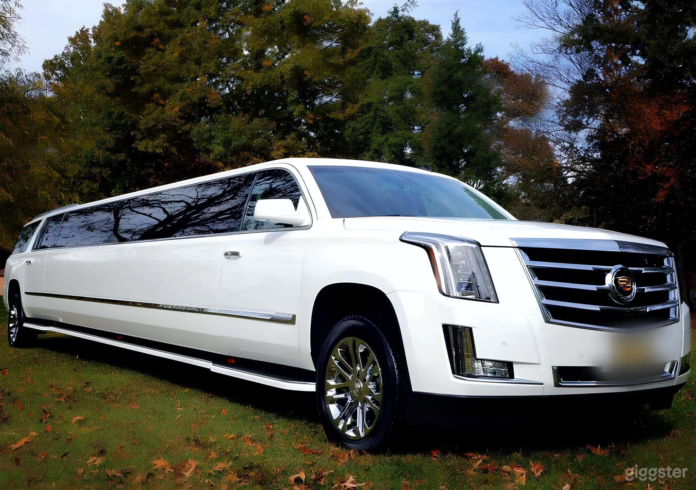 Cadillac Escalade Limousine Photo 3