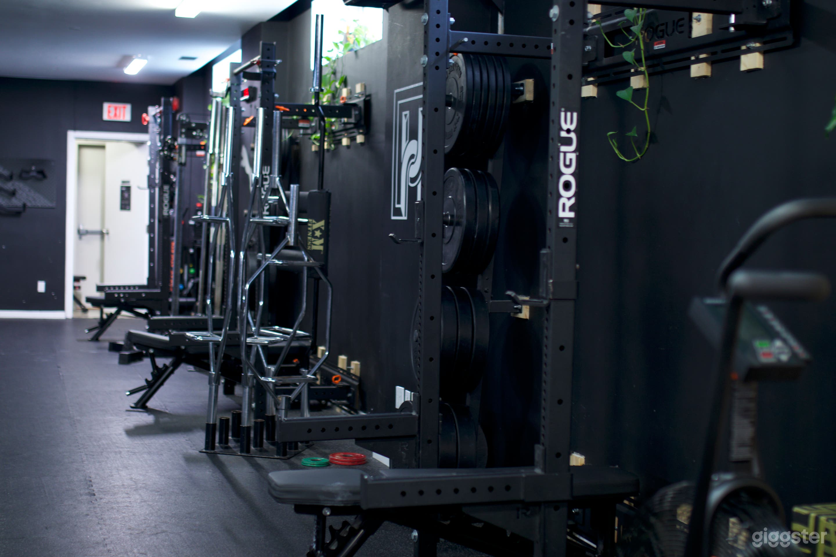 Athletic Studio: Grit Meets Greenery  Photo 2