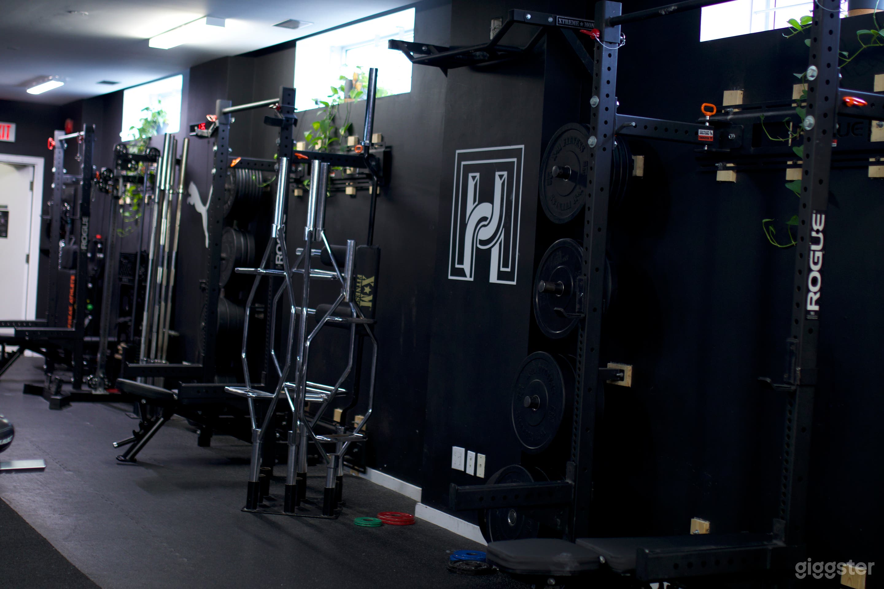 Athletic Studio: Grit Meets Greenery  Photo 3