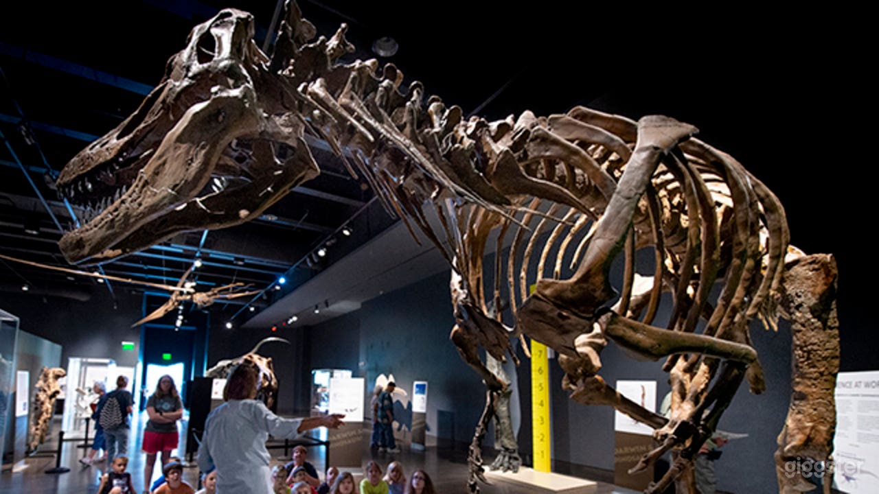 The Exhibition Hall Photo 1