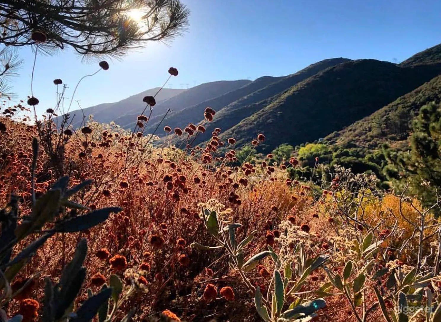 Exterior Buyout - Multi-Set Ranch - Natural Terrain Photo 3