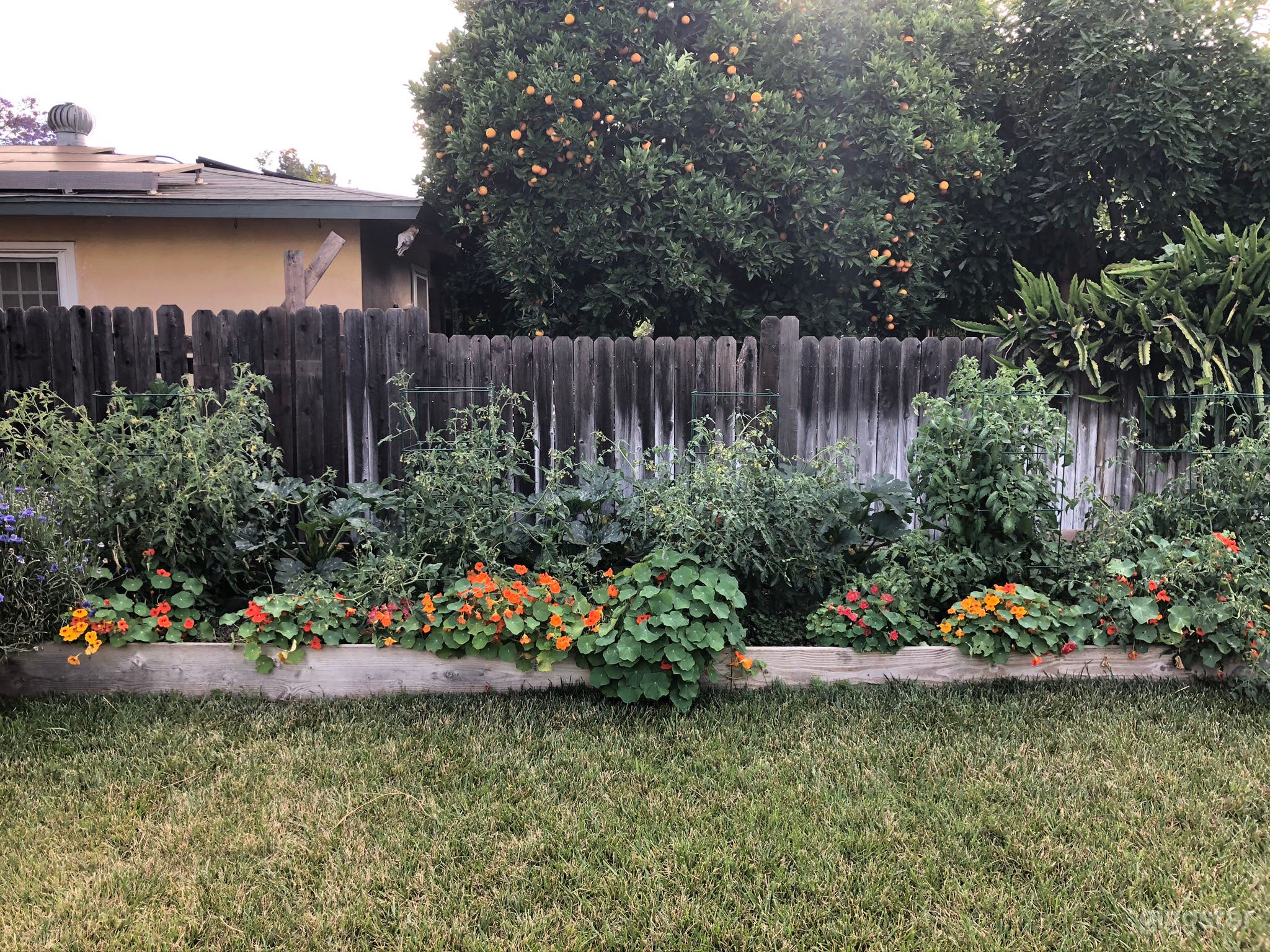 Rosemary House built in 1901 in Old Towne Orange Photo 3