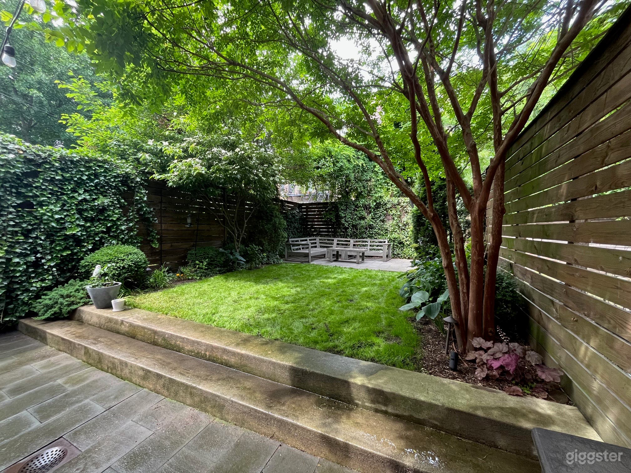 Private Lush Backyard Space Photo 1