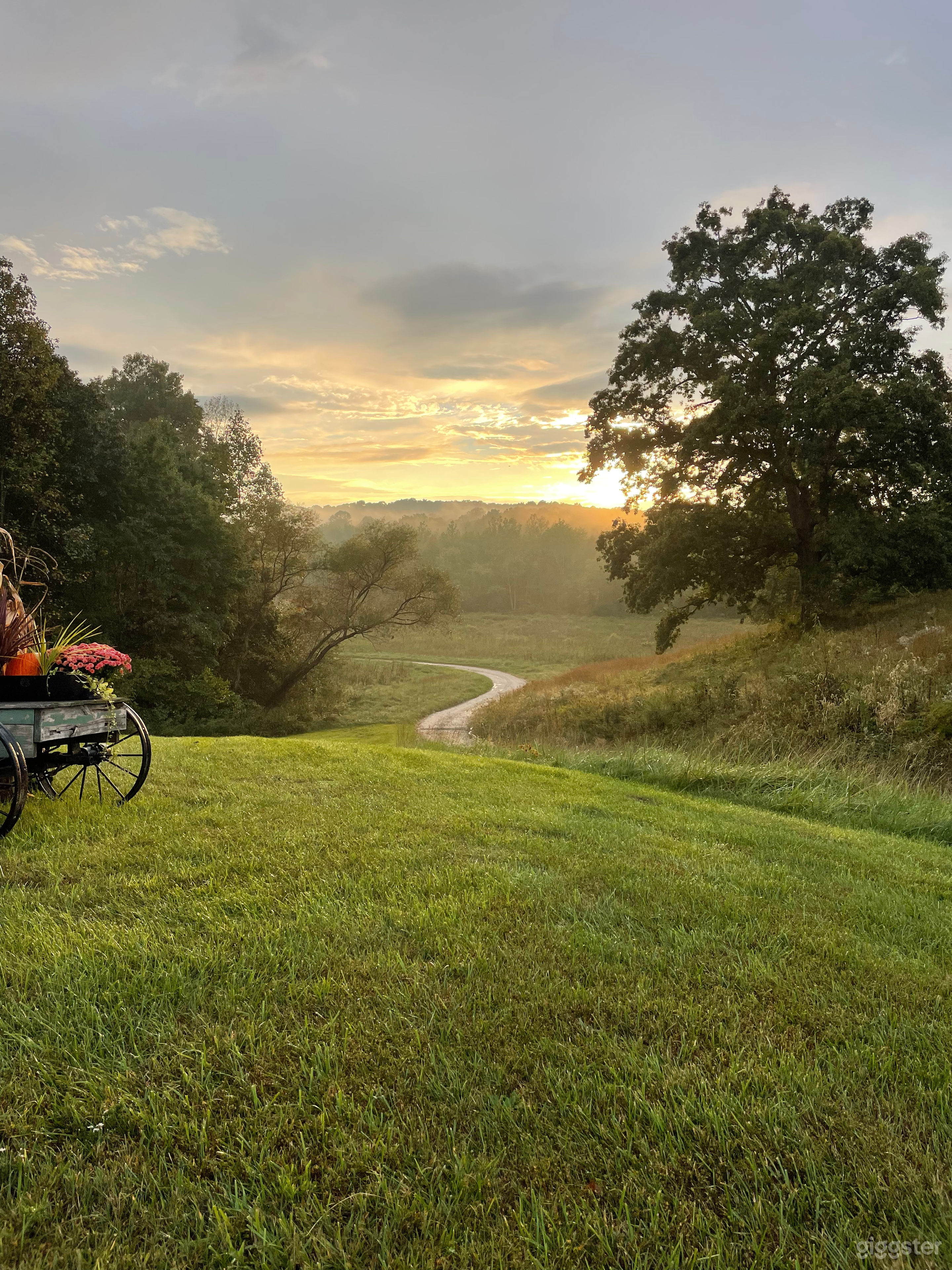 97 Acres of Forest, Creeks and Fields Photo 2