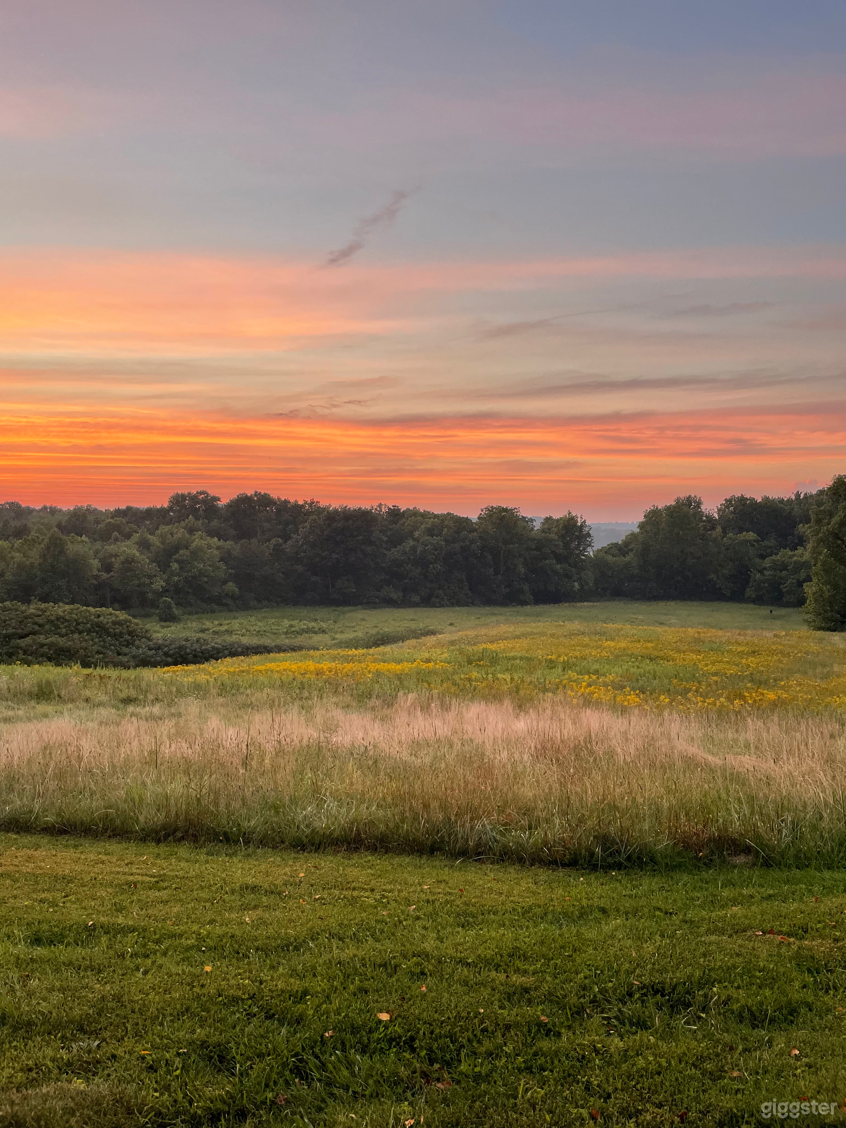 97 Acres of Forest, Creeks and Fields Photo 1