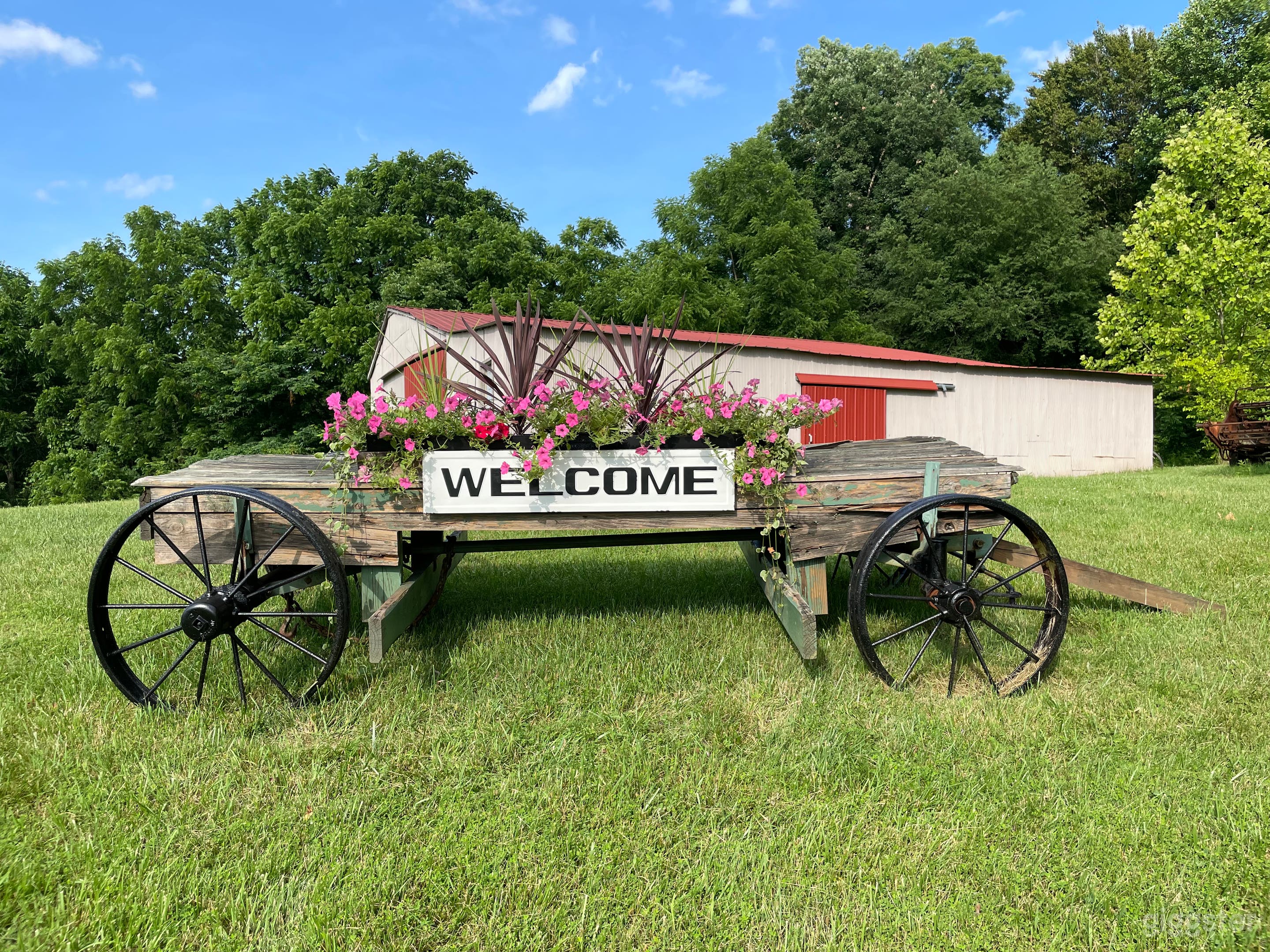 97 Acres of Forest, Creeks and Fields Photo 4