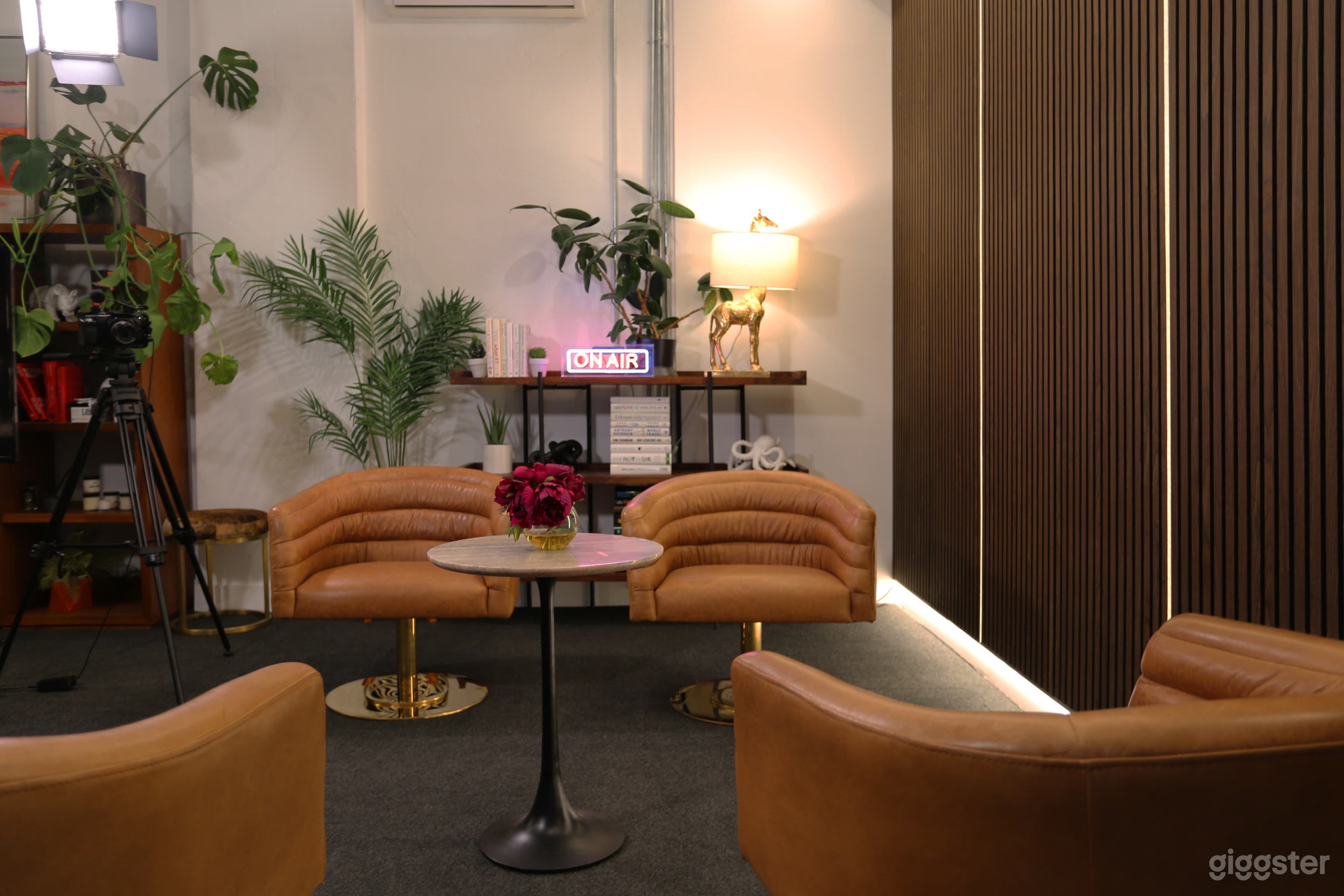 Podcast Studio w/ Leather Chairs &amp; Exec Desk Private Office Photo 2