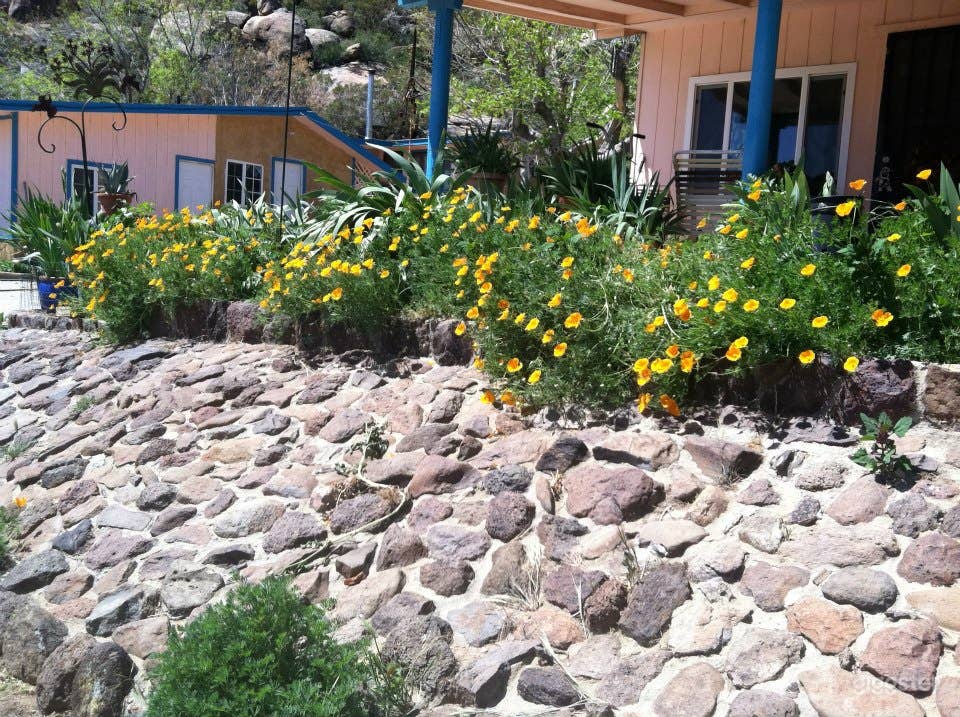 A 2200 Sq. Ft. Residential House in a Sage Farm Photo 3