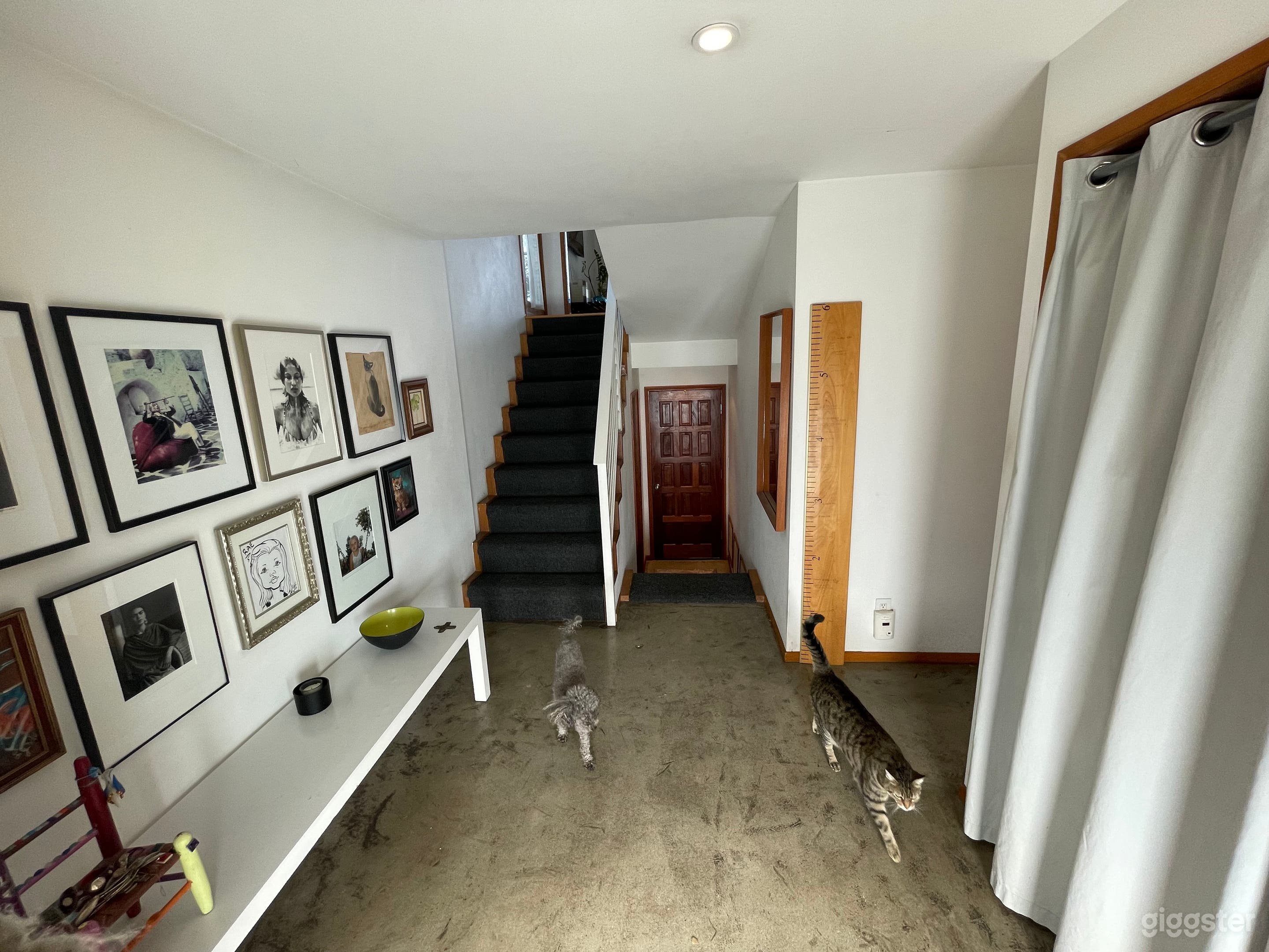 Mid Century Home w Views Photo 2