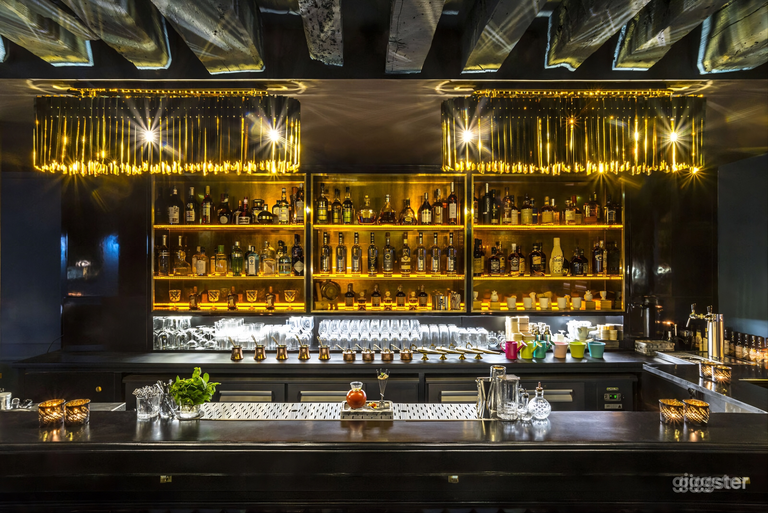  Full buyout: Elegant Cocktail Bar in Paris 