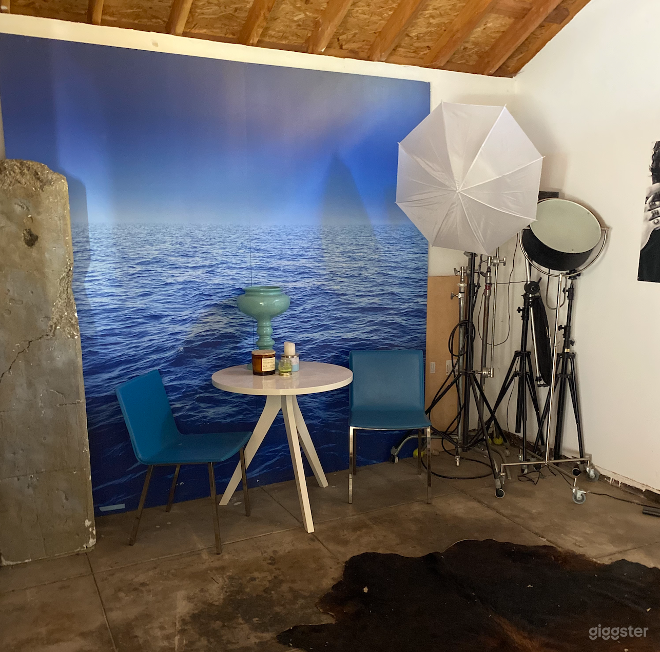 Art Gallery / Photo Studio Scenes