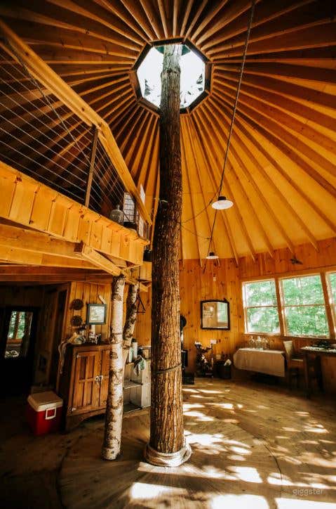 Tree House Island Life Photo 2