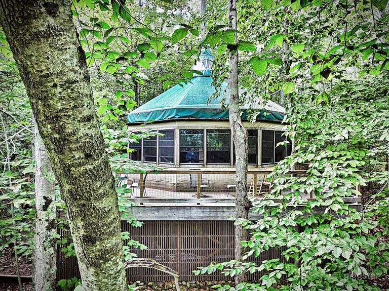  Tree House Island Life 