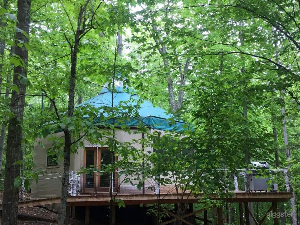 Tree House Island Life Photo 3