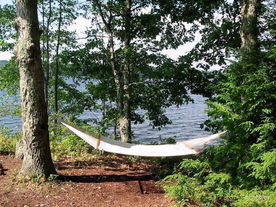 Tree House Island Life Photo 4