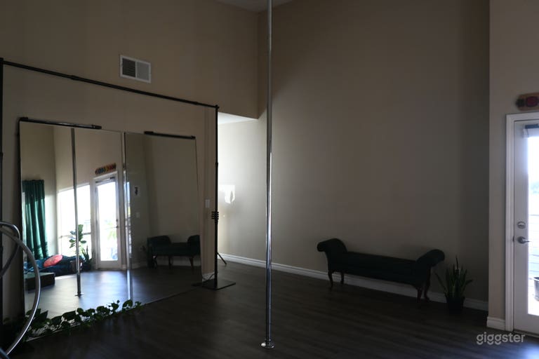  12ft Spin/static Pole from X-pole  