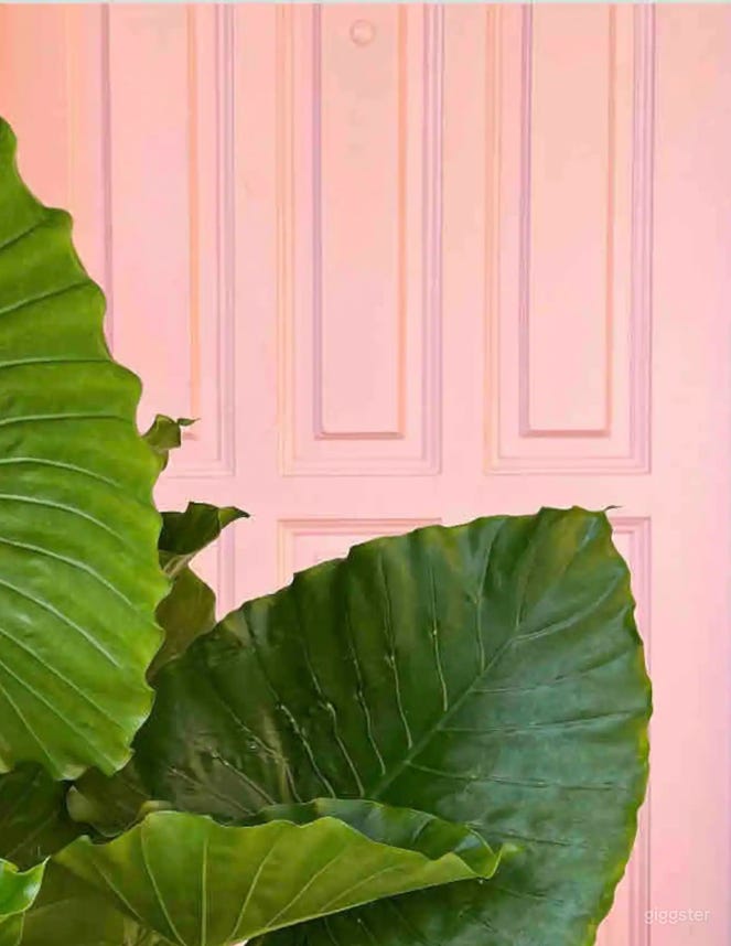  Charming Photoshoot and Event space 