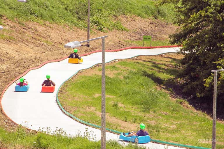  Downhill Luge 
