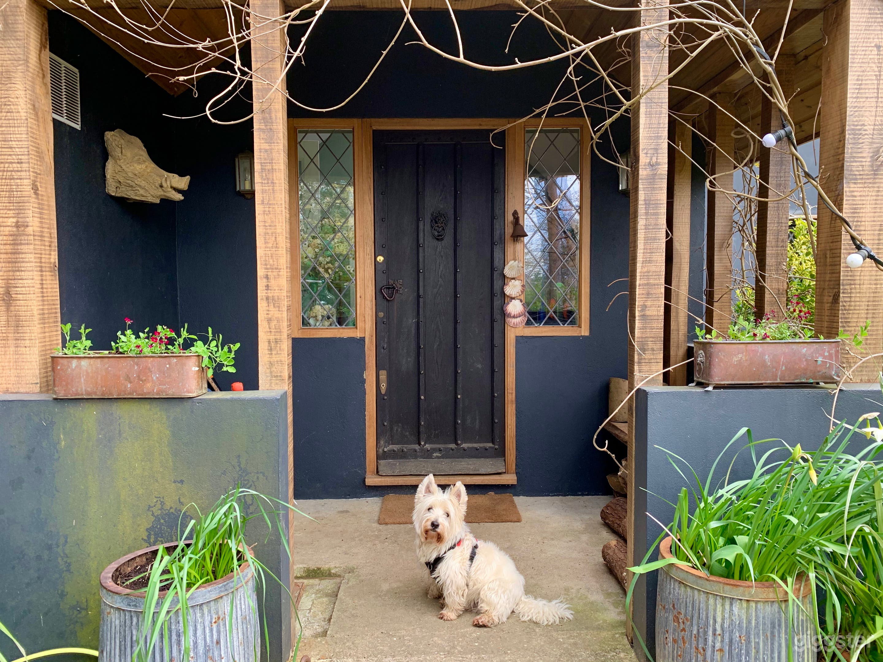 The Thatch, with secret cabin overlooking the sea. Photo 3