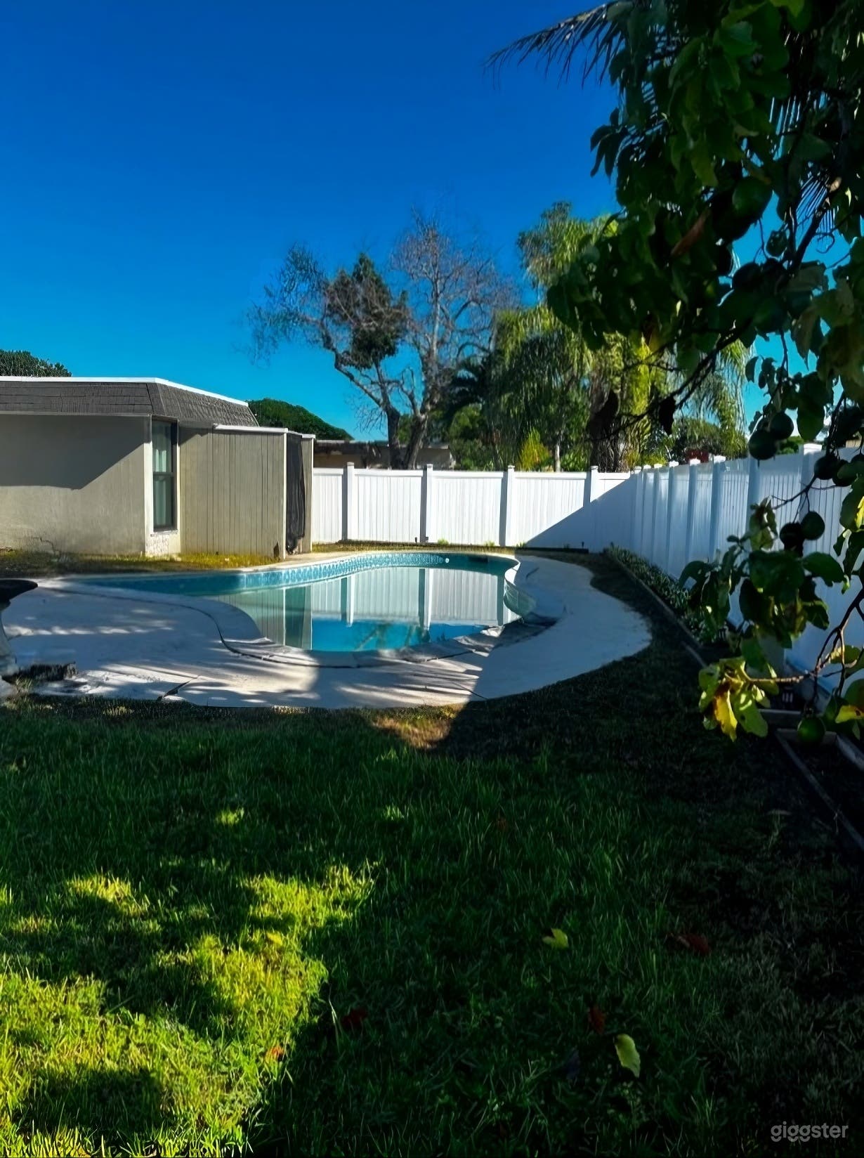 Private Poolside Backyard Oasis in Fort Lauderdale Photo 4
