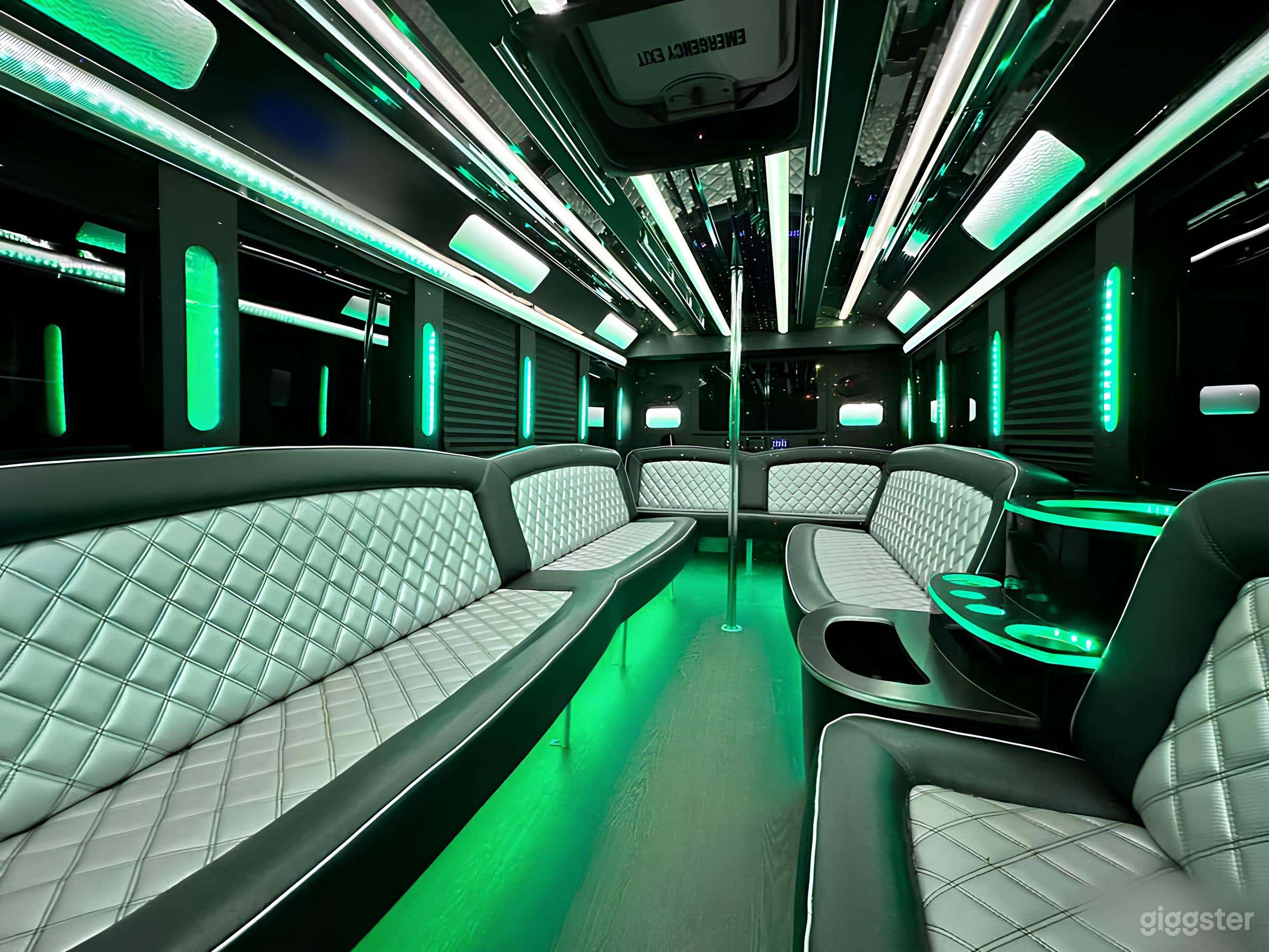 20 passenger Tiffany Party Bus | Top Quality Buses Photo 2