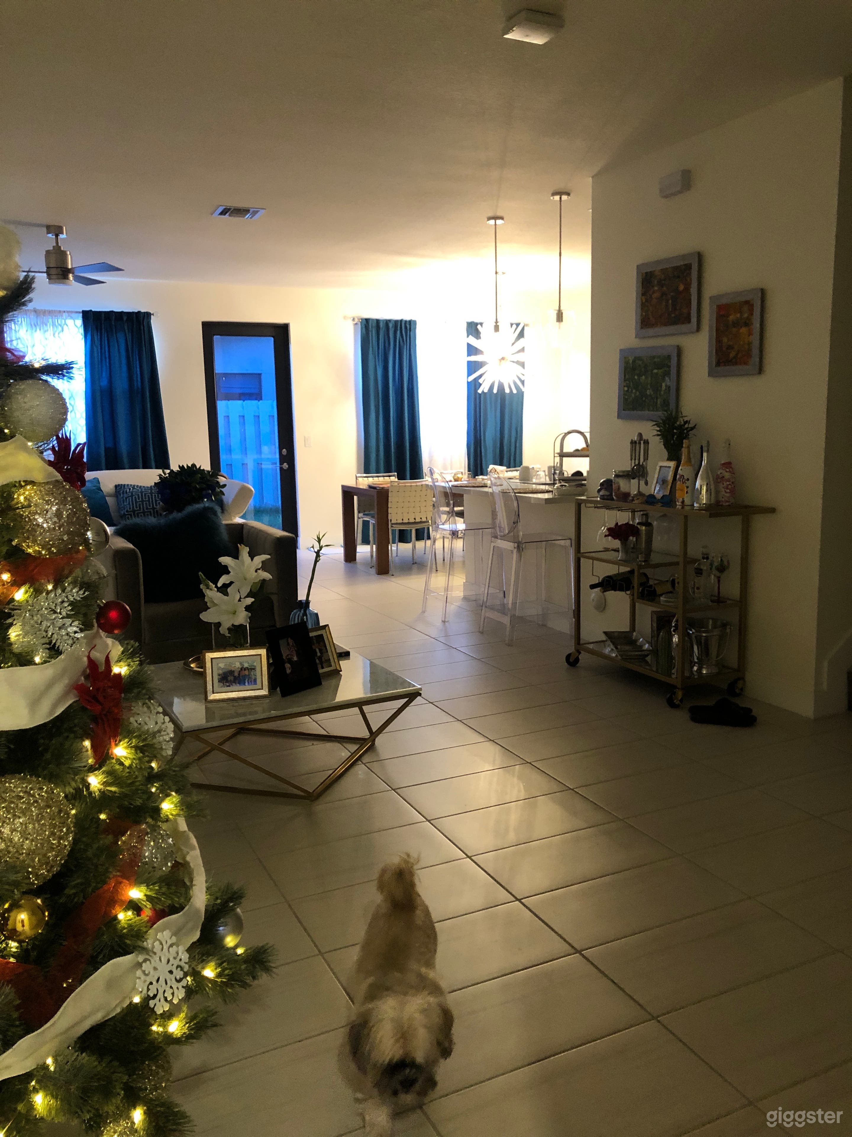 First floor includes 2 living room open kitchen half a bathroom and access to garage and back yard.  