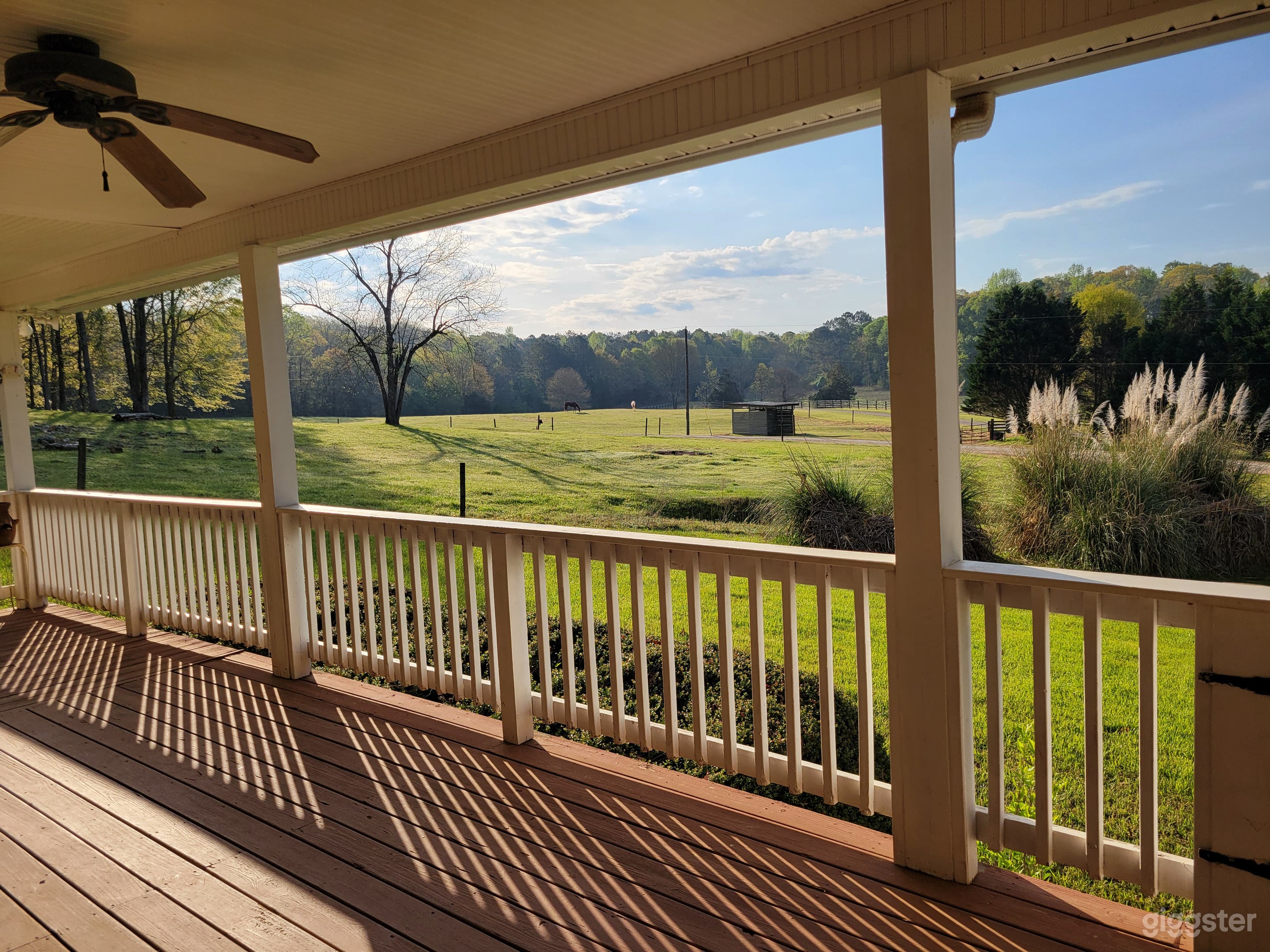 View from the front porch