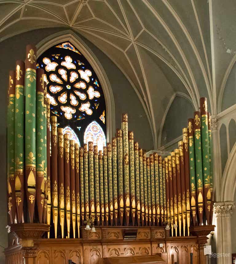 Organ 