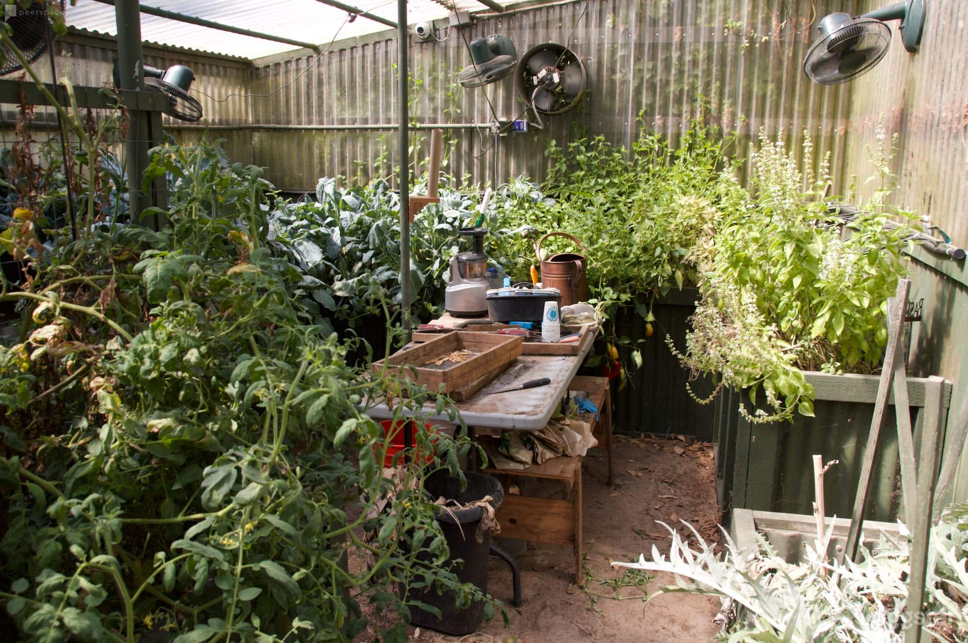 Contemporary Ranch house with lagoon pool Photo 3