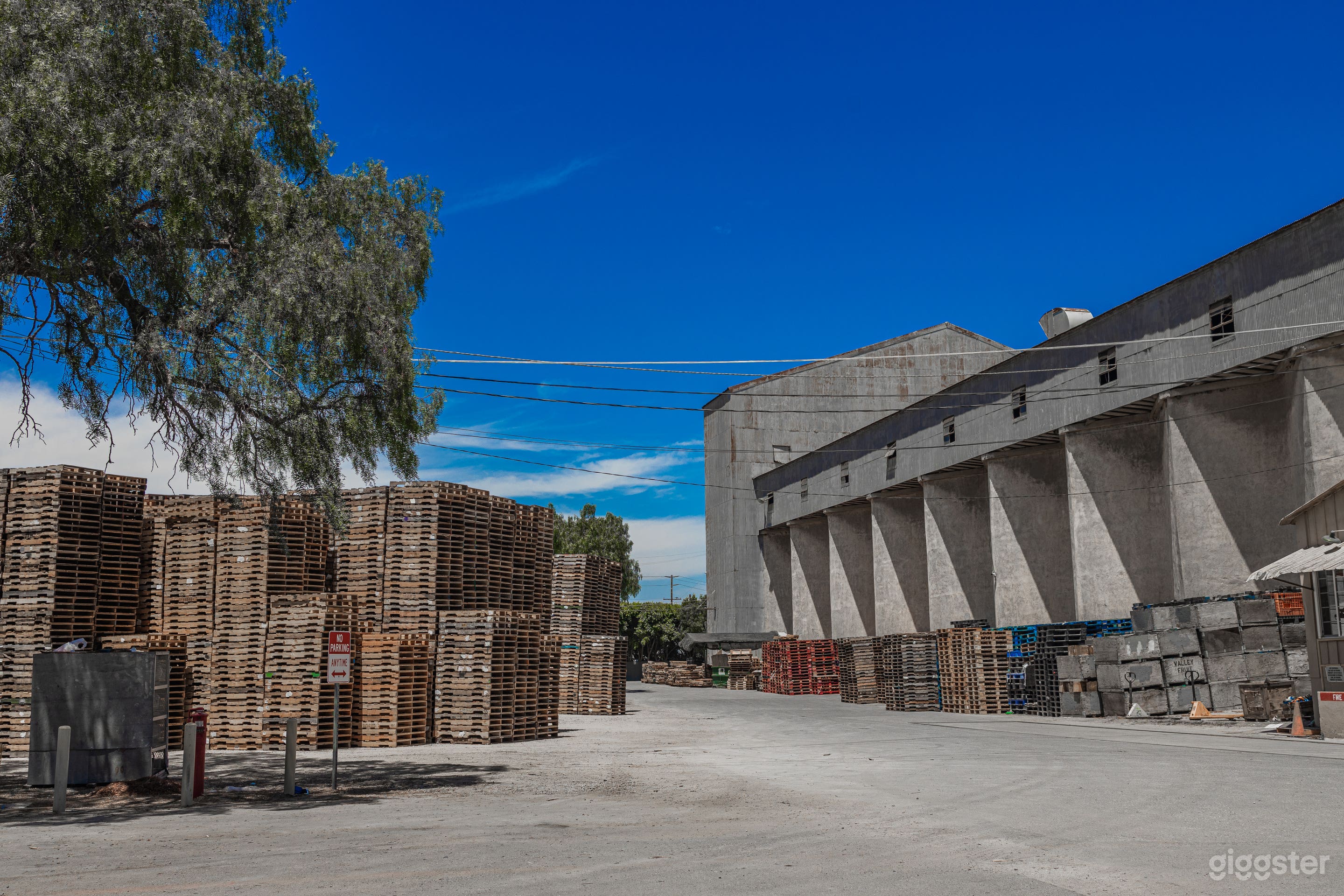 Oxnard Pallet industrial plant Photo 2