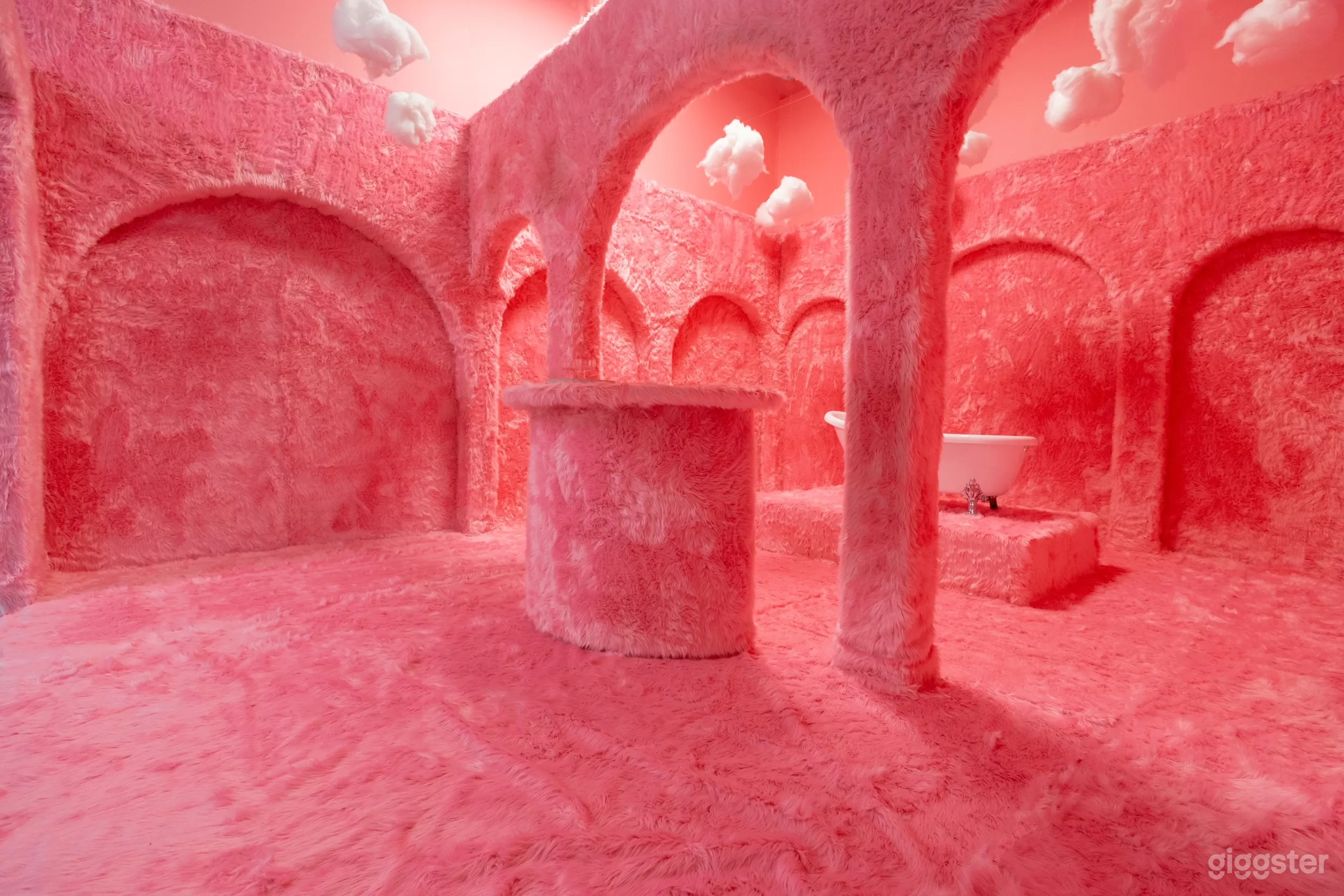 The Pink Fur Set Photo 1