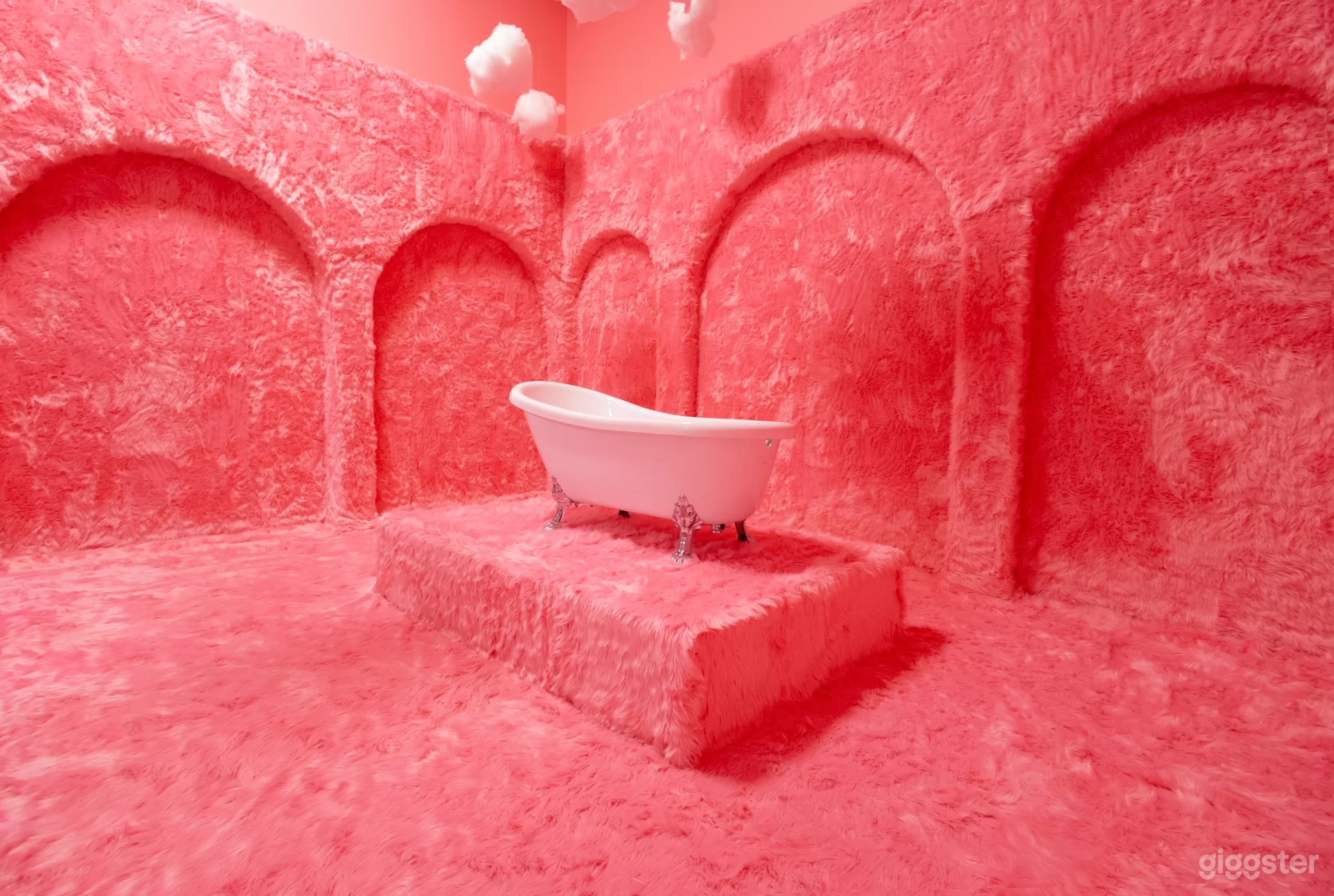 The Pink Fur Set Photo 3