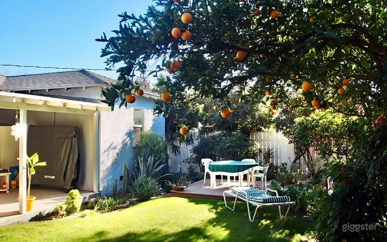 Sunny Backyard with Orange Tree 