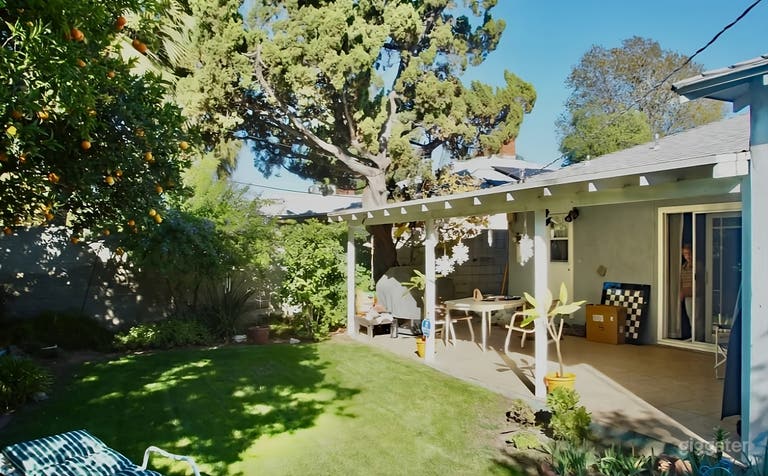  Sunny Backyard with Orange Tree 